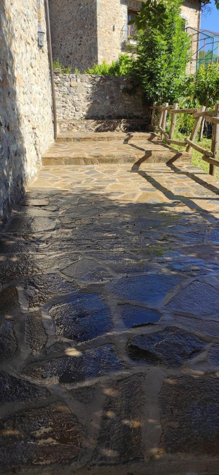 Cuniacha Piedrafita de Jaca Exterior foto